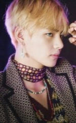 Taehyung Silver Leaf Tassel Earrings